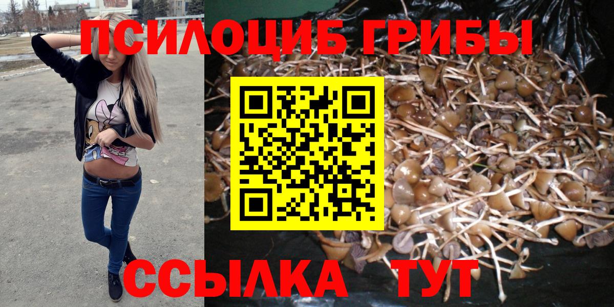 где купить наркотик  Галлюциногенные грибы мухоморы  Вход с VPN  Карасук 