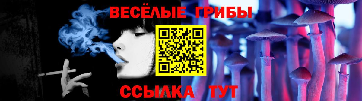 Псилоцибиновые грибы Cubensis  Карасук 